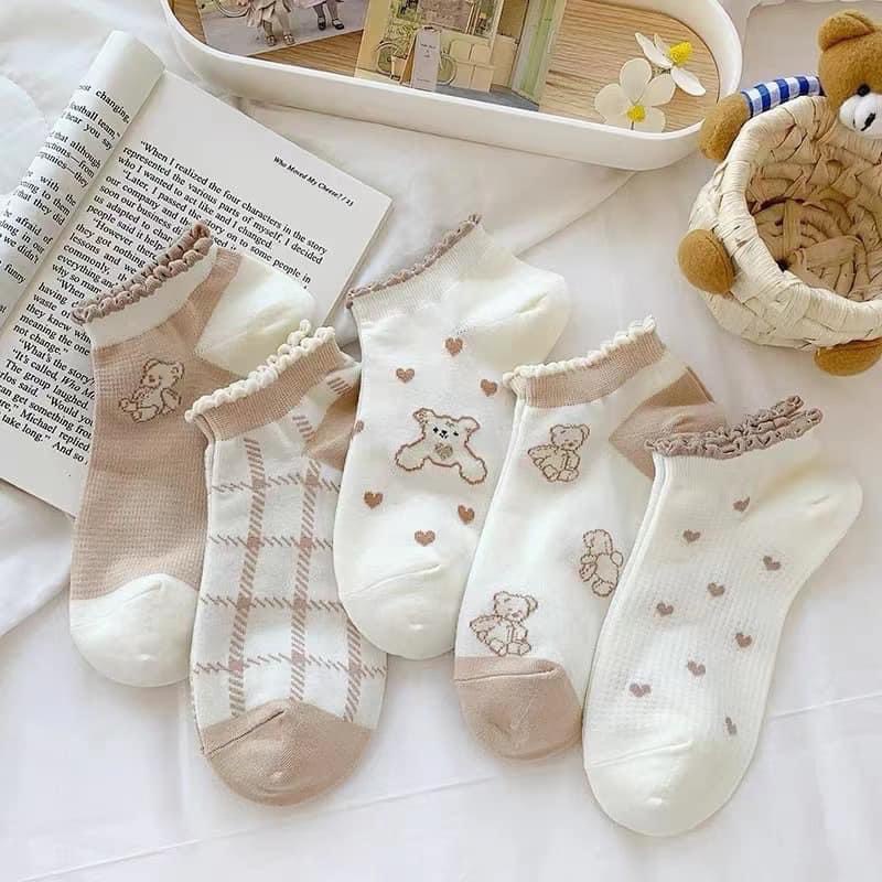 LỐ 10 ĐÔI TẤT GẤU NÂU VIỀN BÈO PHỐI MÀU SIÊU XINH CHO NỮ