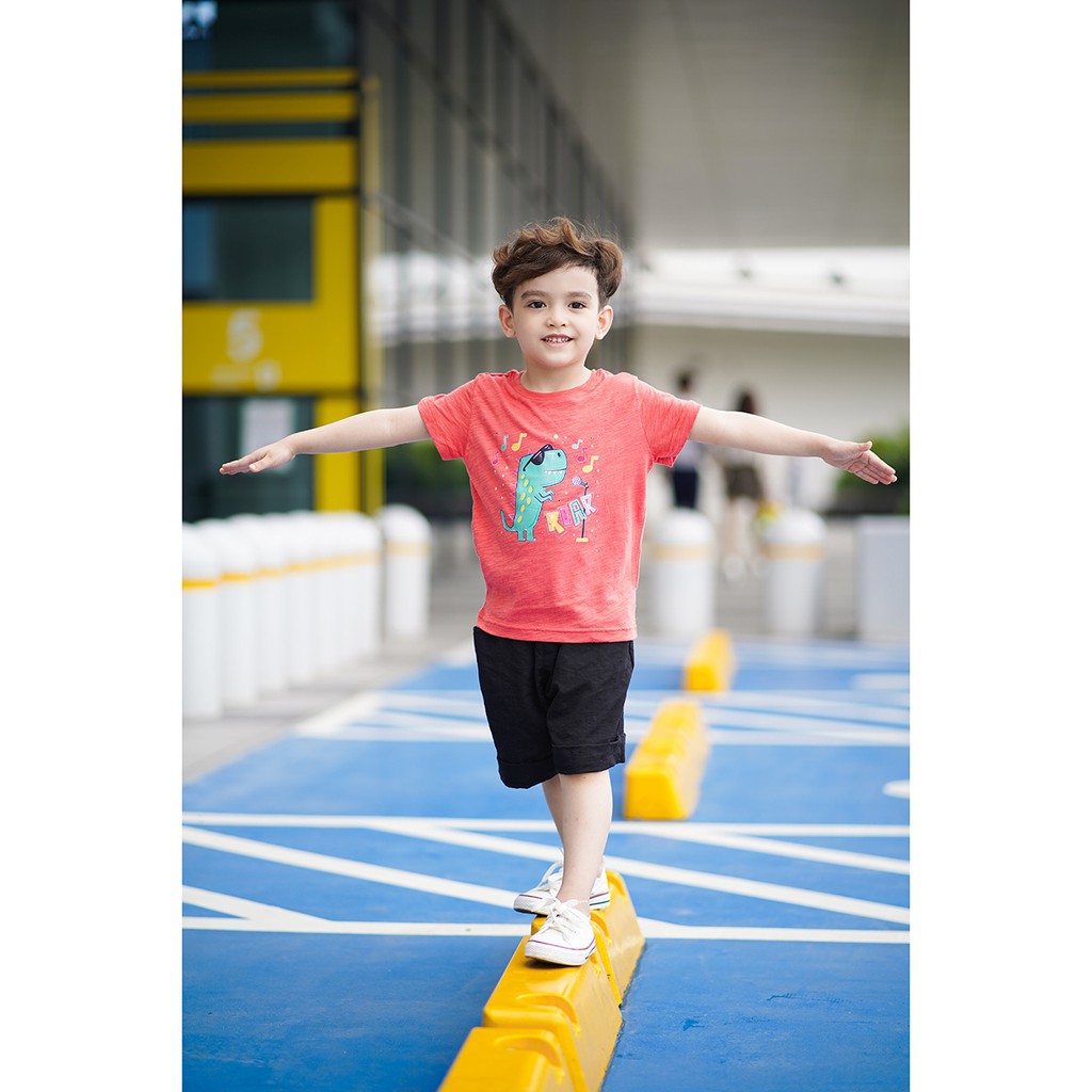 Áo phông bé trai cao cấp VNXK 100% cotton Size 9 - 23 kg mẫu mã đa dạng - TIỆM NHÀ SÓC BƠ