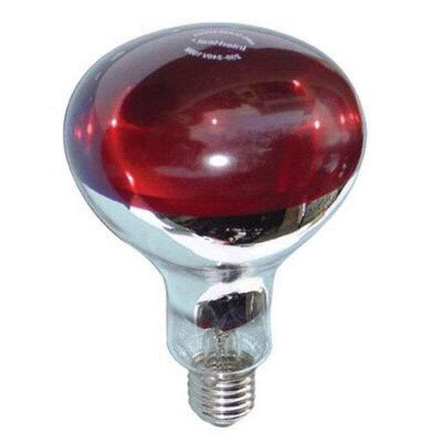 Bóng đèn sưởi úm gà vật nuôi Hồng Ngoại 45W,75W,100W,150W,175W,200W,250W