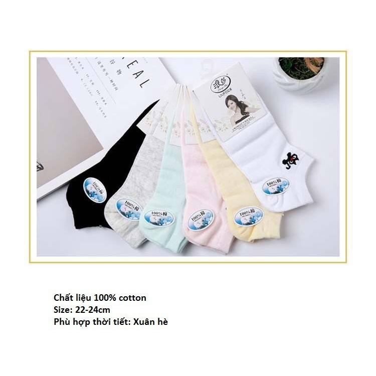 Combo 2 đôi tất nữ cotton kháng khuẩn - 100k