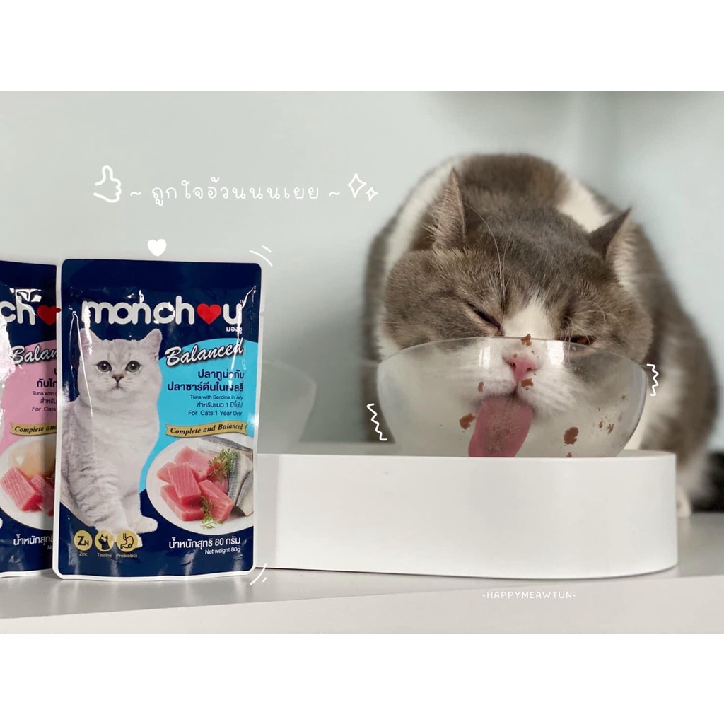 [Chính hãng] Pate Cho Mèo Monchou Gói 70gr