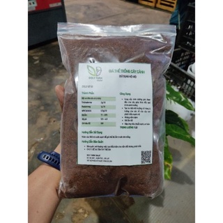 Combo 10 sen đá + giá thể trồng sen đá