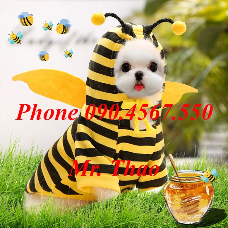 Áo cho chó mèo  , Áo Quần Thú Cưng