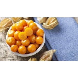 5 cây thù lù hay tầm bóp