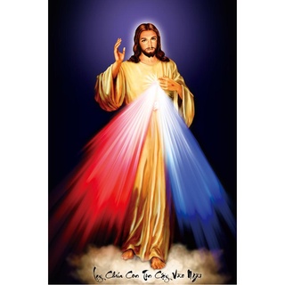 Tranh Thêu Chữ Thập 3D Lòng Thương Xót Của Chúa DV6018 , LP5107 (KHÁCH TỰ THÊU) KT:44X62CM