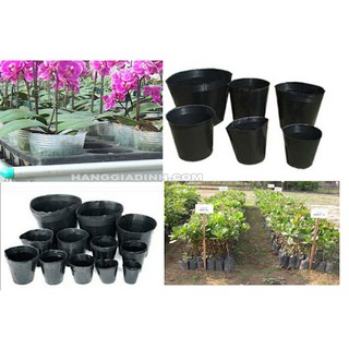 Combo Châu Nhựa ươm cây giống, Bầu gieo hạt giống, Túi ươm cây chất lượng cao giá siêu rẻ