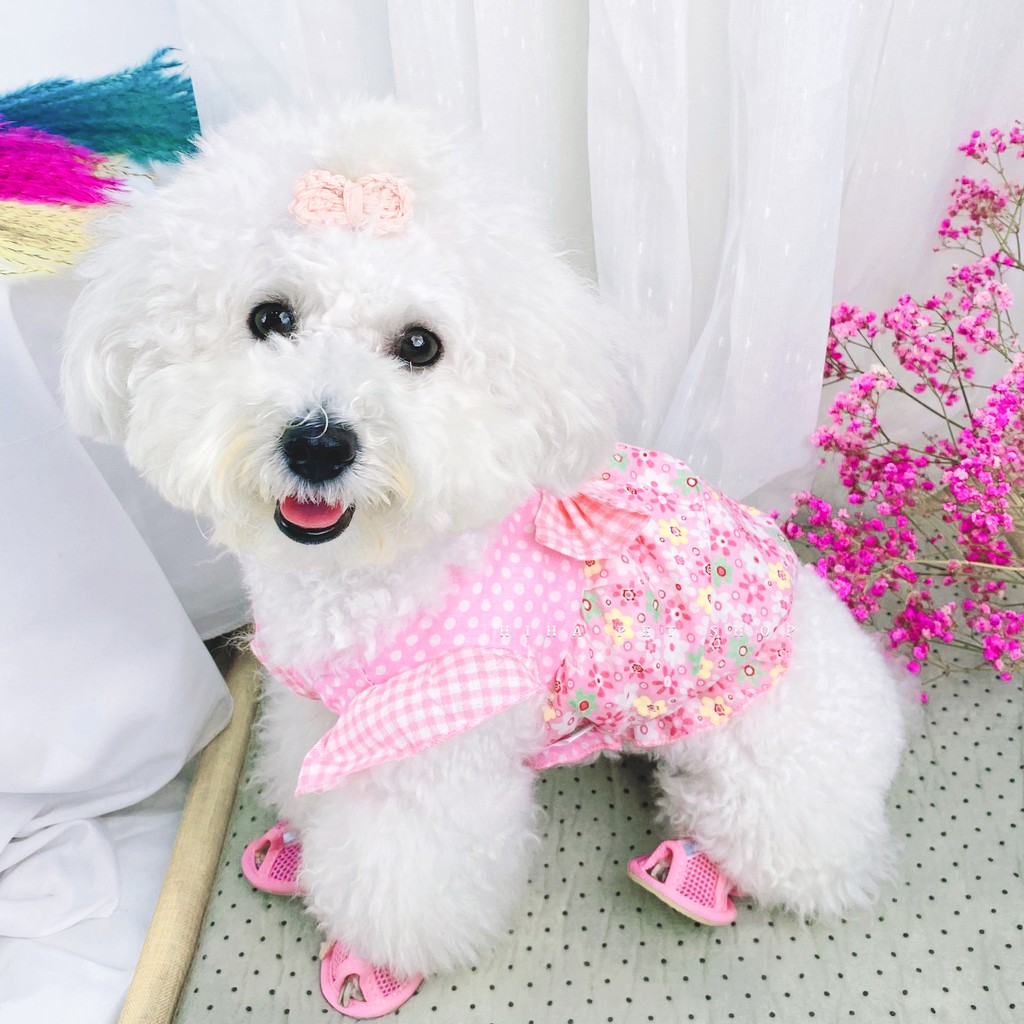 Áo Hoa Công Chúa Có Nơ Vải Mỏng Mát Chó Mèo Giá Rẻ Hiha Pets.