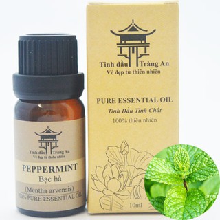 Tinh Dầu Thiên Nhiên Nguyên Chất Chai Nhỏ Giọt 10ml, Chai Treo Xe Hơi - TINH DẦU TRÀNG AN