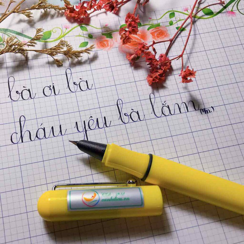 Bút máy CD 202 (ngòi kín, êm trơn, dùng cho hs lớp 1 trở lên)