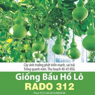 Hạt giống bầu hồ lô 1g rado 312