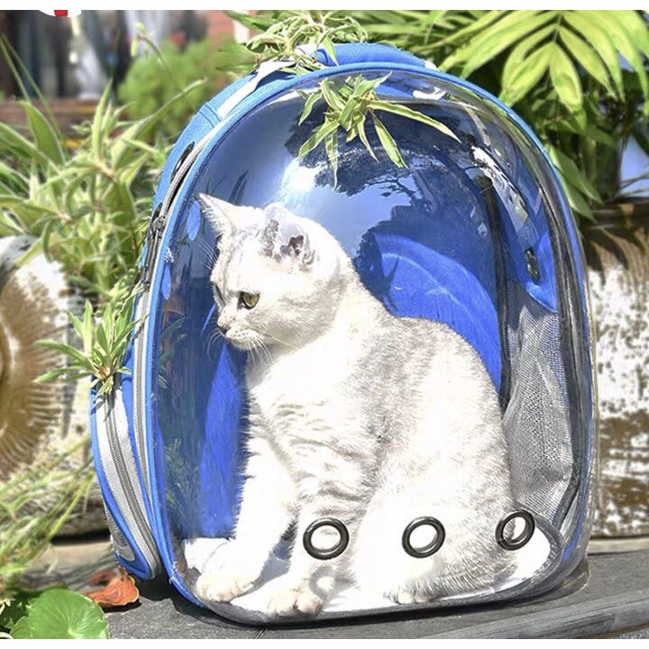 [Mã ICBFRI25 giảm 25K đơn 149K] Balo phi hành gia Lna Xulankapet trong suốt dành cho mèo cao cấp