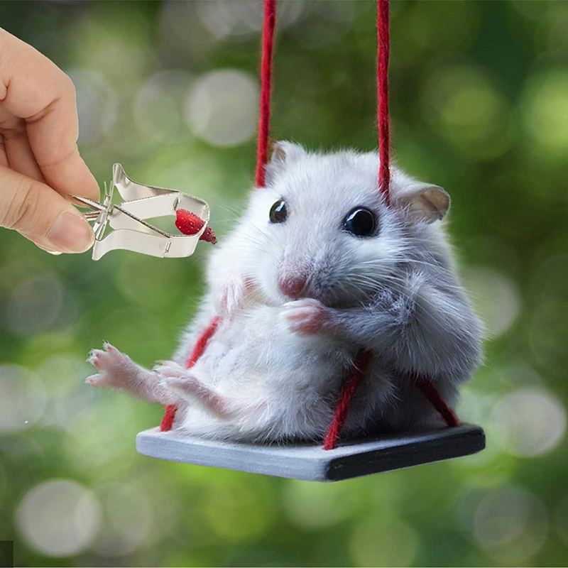 Dụng Cụ Kẹp Thức Ăn Bằng Kim Loại Cho Chuột Hamster