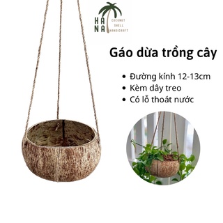 Gáo dừa trồng lan, trồng cây có kèm dây thừng treo
