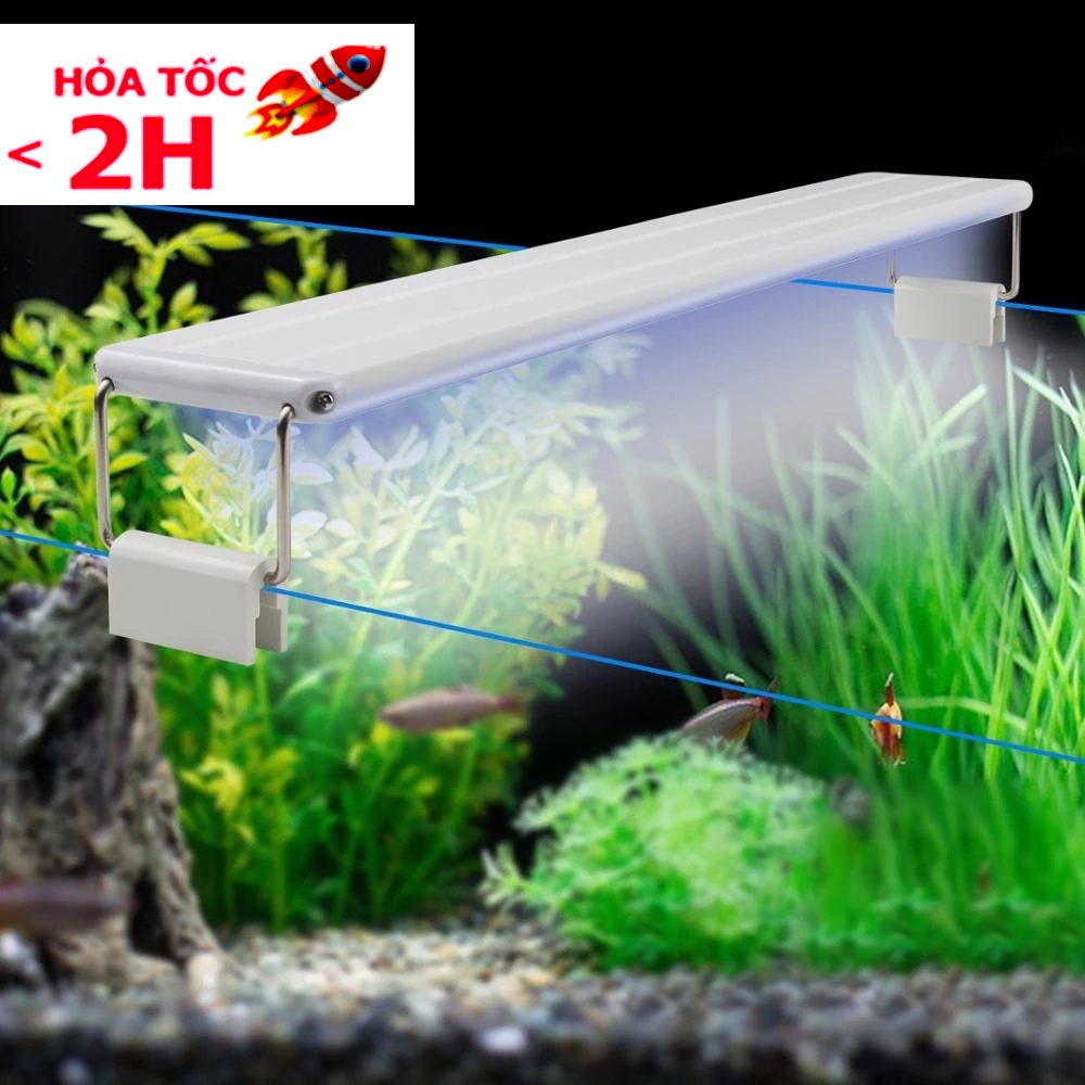 Đèn máng hồ cá 40cm - 50 cm XML 40 (Trắng)