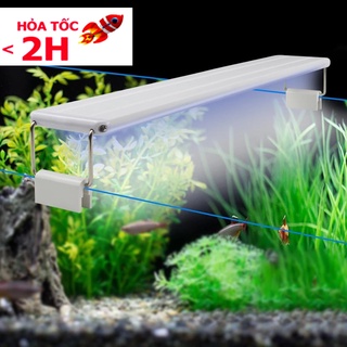 Đèn máng hồ cá 40cm - 50 cm XML 40 (Trắng)