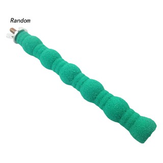 Cầu Mài Móng Cho Chim Vẹt Cảnh Chất Lượng Cao