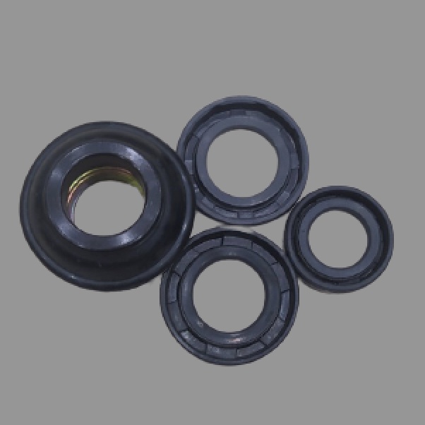 Bộ Phốt Bơm Nước Thái CR75 hoặc CR150