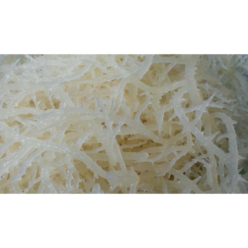 Rong Sụn Trắng Khô Nha Trang 500 Gram