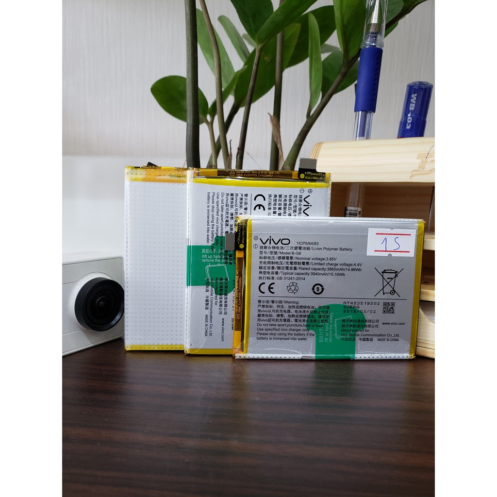 PIN VIVO S1 (B-G6)