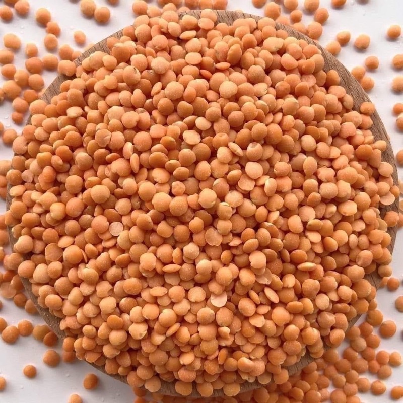 Đậu lăng Trần Anh Food - Đậu lăng đỏ hữu cơ nhập khẩu túi 1kg