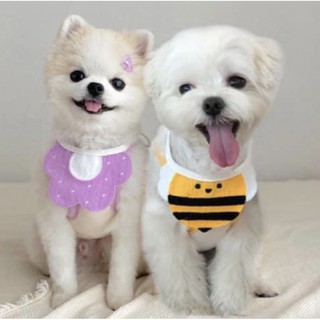 YẾM Chó mèo cute😻😻😍
