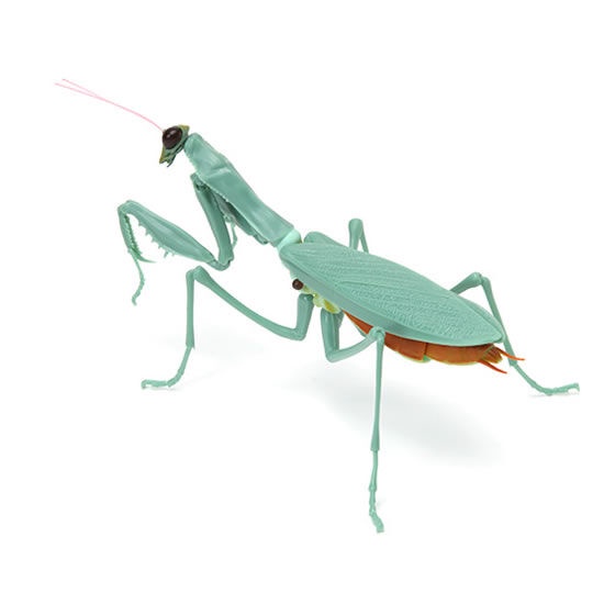 MÔ HÌNH TRỨNG GASHAPON MANTIS 02 NGẪU NHIÊN