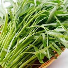 Hạt Giống Rau Muống Tre Thái Lan [Gói 50g]