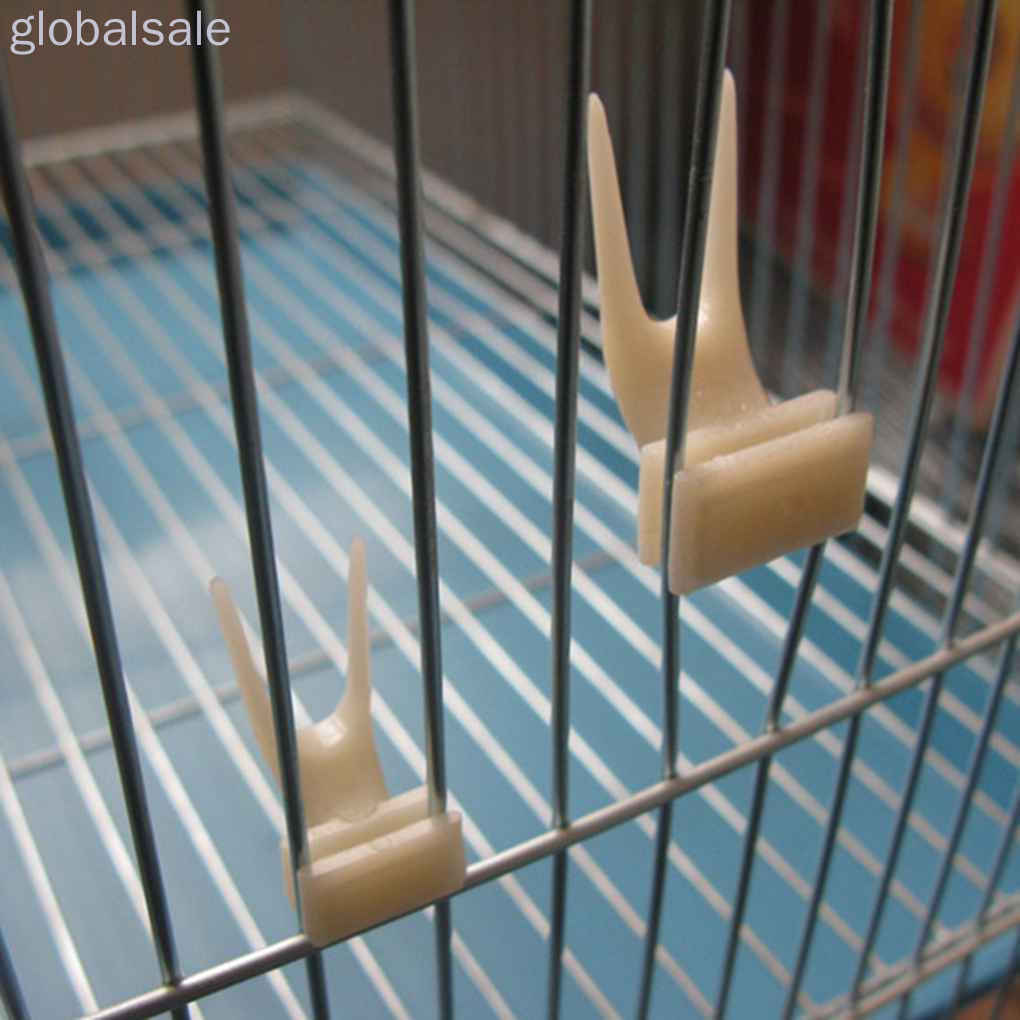 Nĩa Gắn Thức Ăn Cho Vẹt