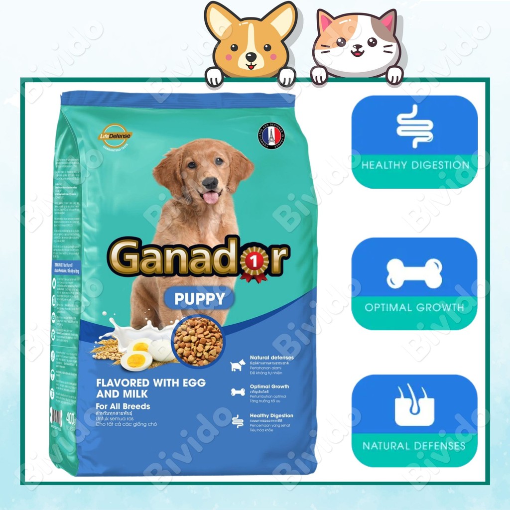 Thức ăn chó con Ganador puppy sữa có DHA, sữa và trứng túi 400g - Bivido