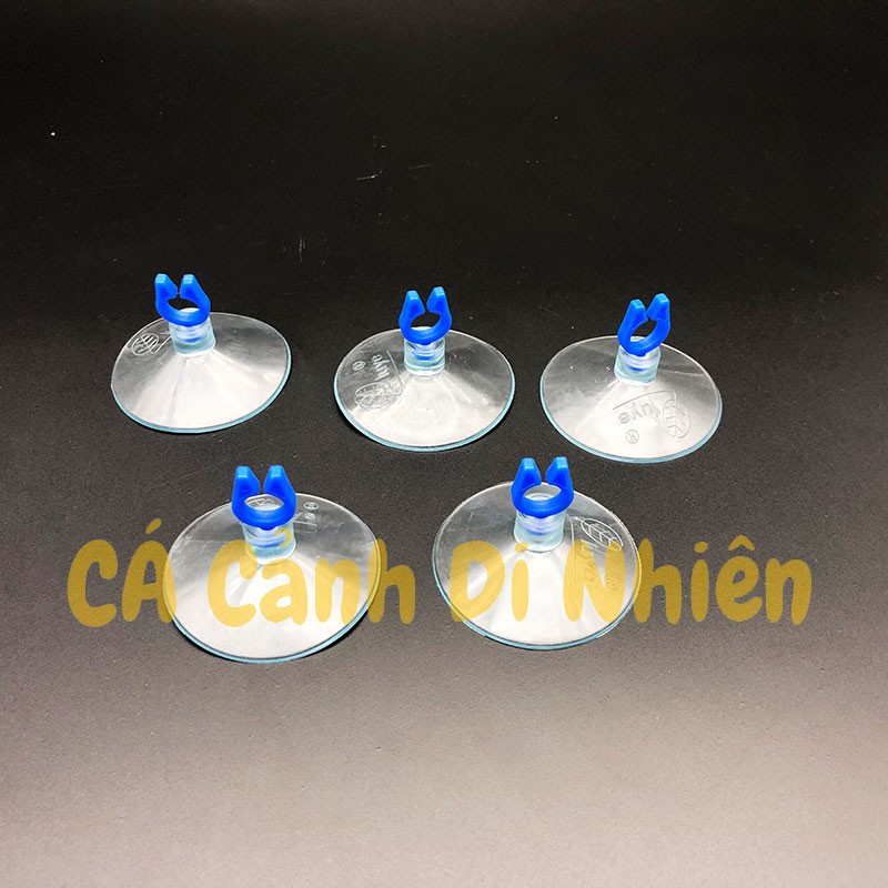 Hít kính giữ ống DÂY 8 mm cho hồ cá cảnh