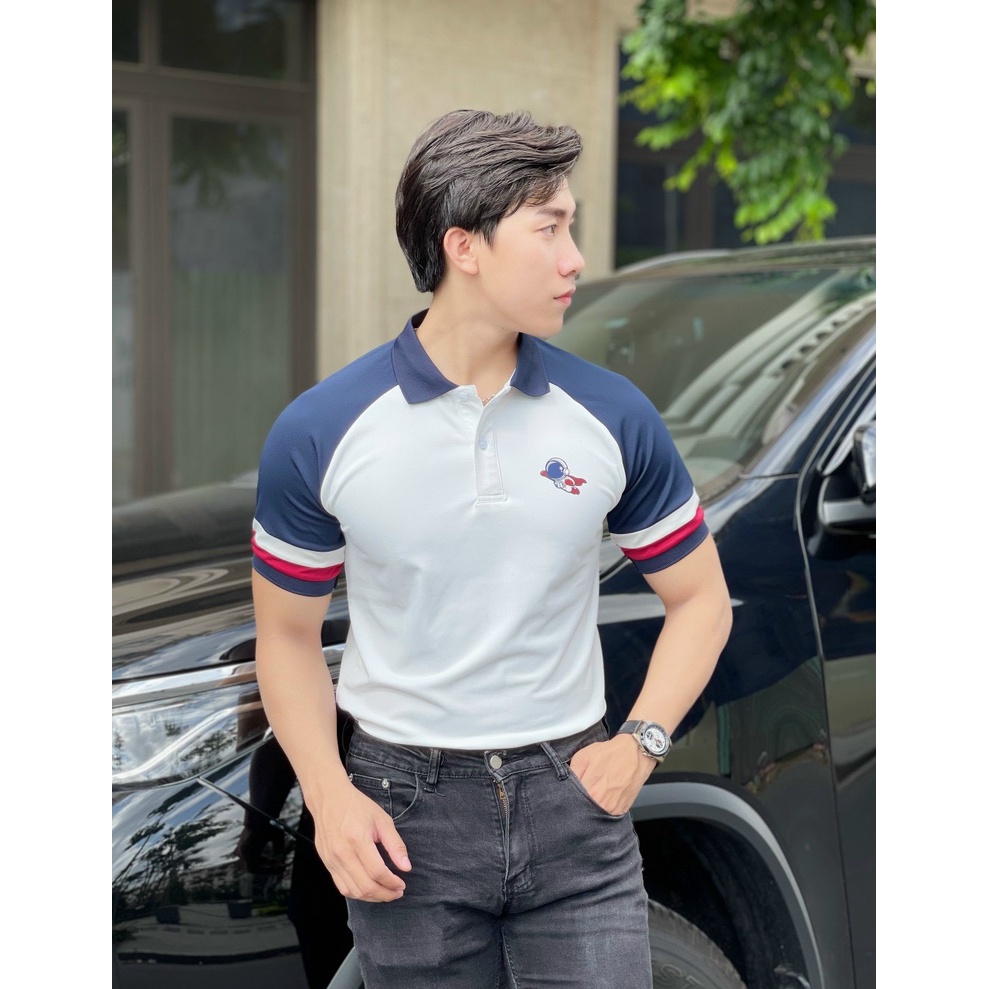 Áo polo nam cổ bẻ vải cá sấu Cotton xuất xịn,chuẩn form, sang trọng - thanh lịch TB019