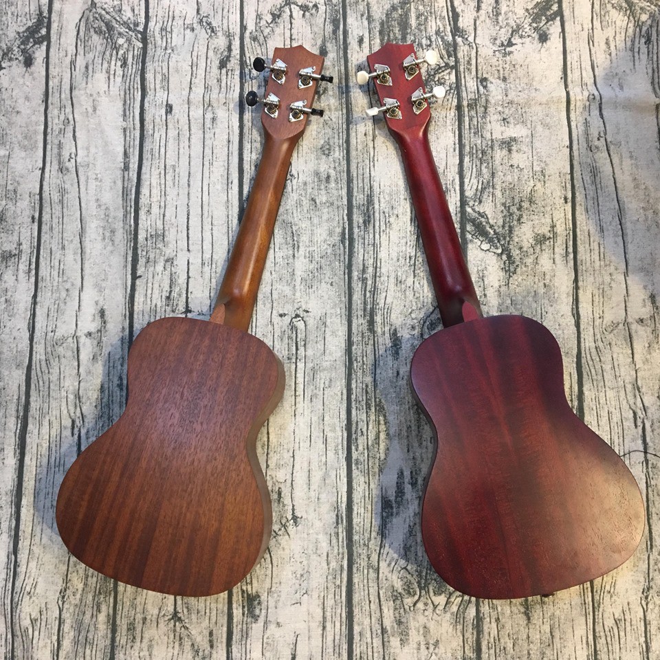 Đàn Ukulele gỗ mahogany Size concert ( Tặng kèm 2 phím gẩy phiếu bảo hành 12 tháng)