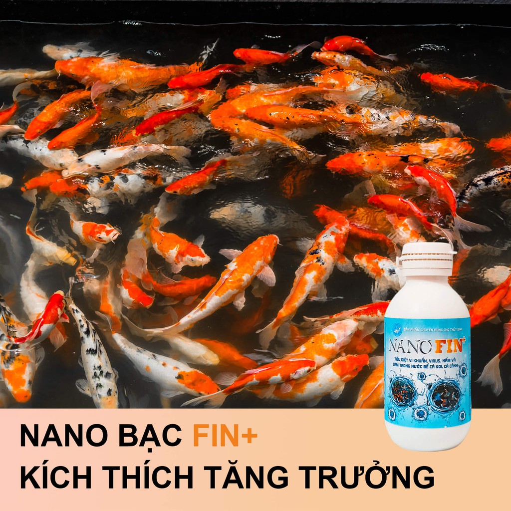 Nano bạc thủy sinh Fin+ 💦Làm sạch bể cá, phòng bệnh cá cảnh, cá Koi💦