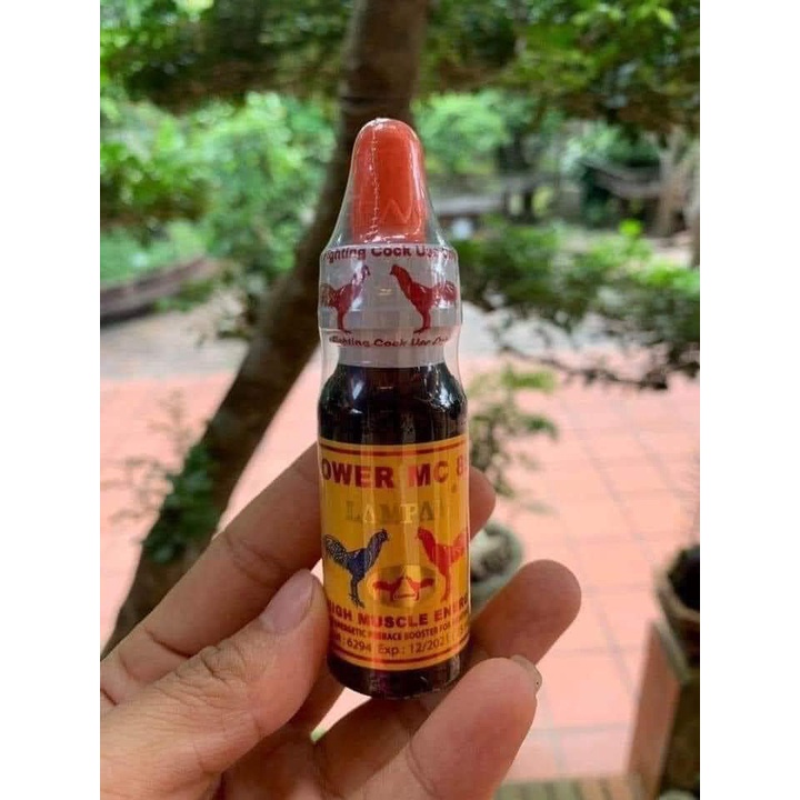 Công Lực Tăng Bo Đá MC 858