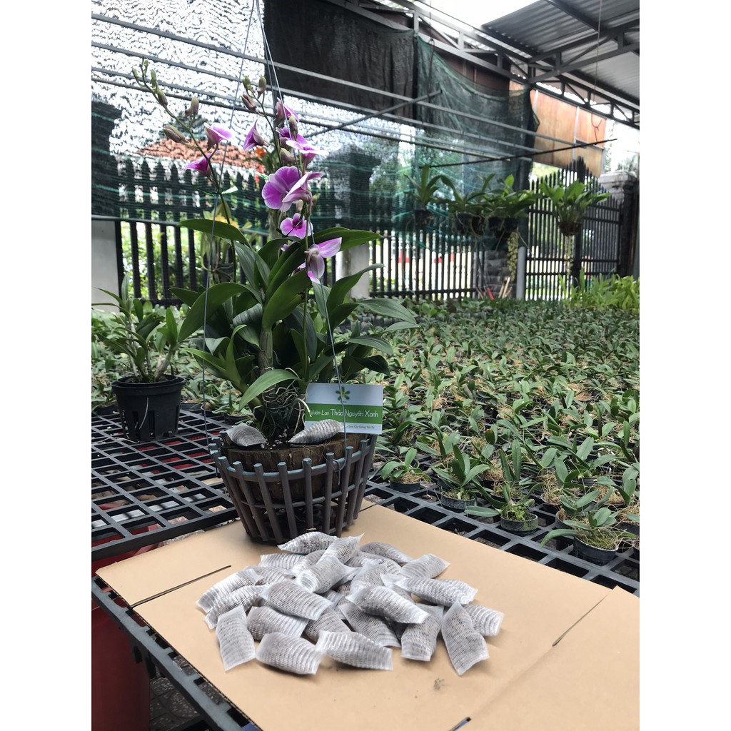 Phân Bón Túi Lưới Tan Chậm Cho Lan Cung Cấp Đầy Đủ Chất Dinh Dưỡng