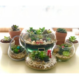 Vi tính KMC, Cửa hàng trực tuyến | BigBuy360 - bigbuy360.vn