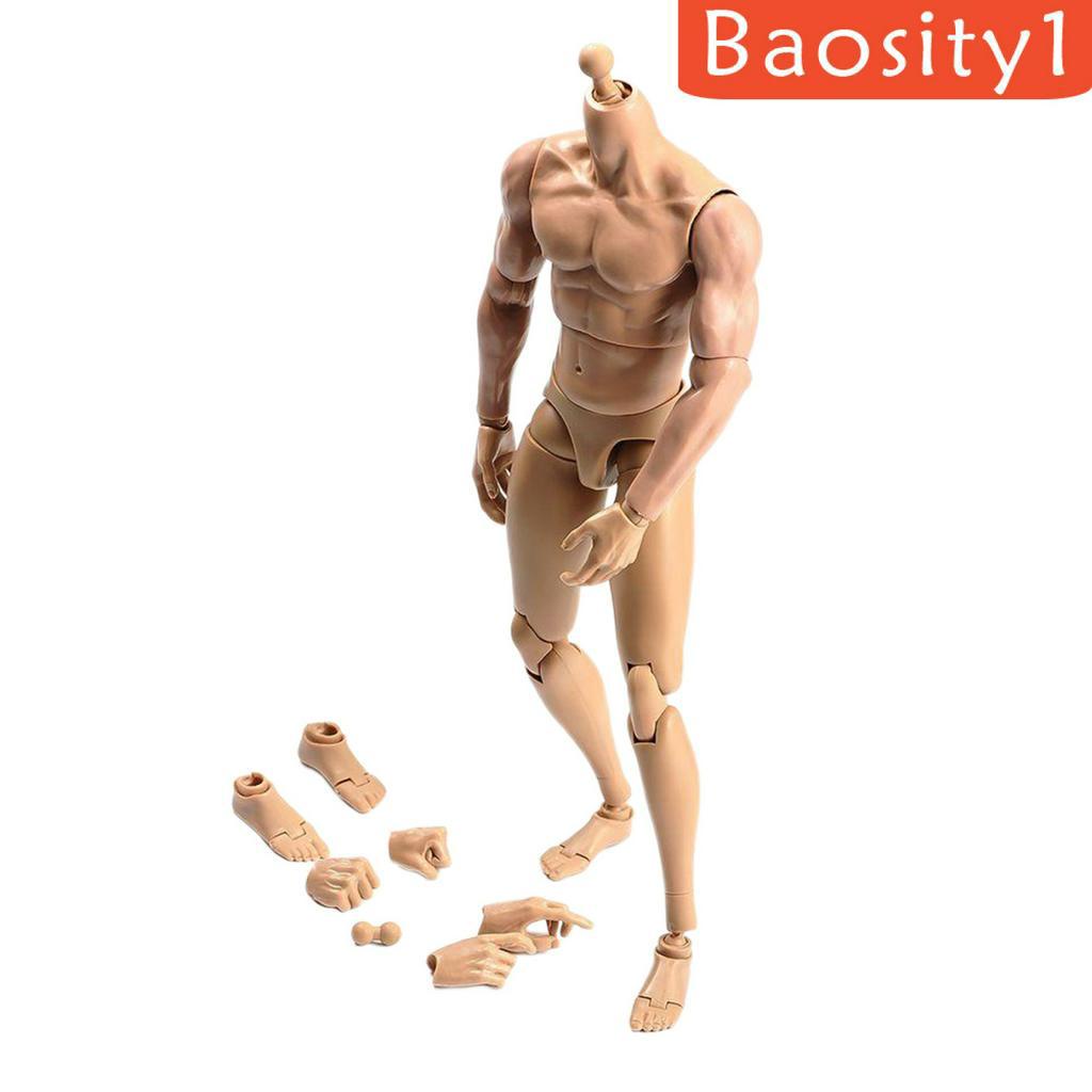 Mô hình cơ thể người nam tỉ lệ 1/ 6