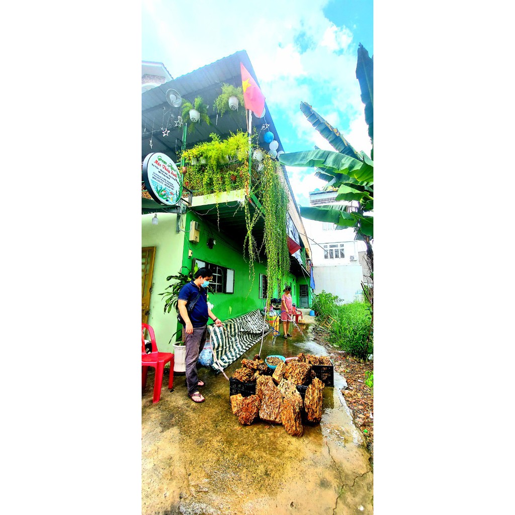 Đá Tiger - Đá Trang Trí Bể Thủy Sinh 1Kg