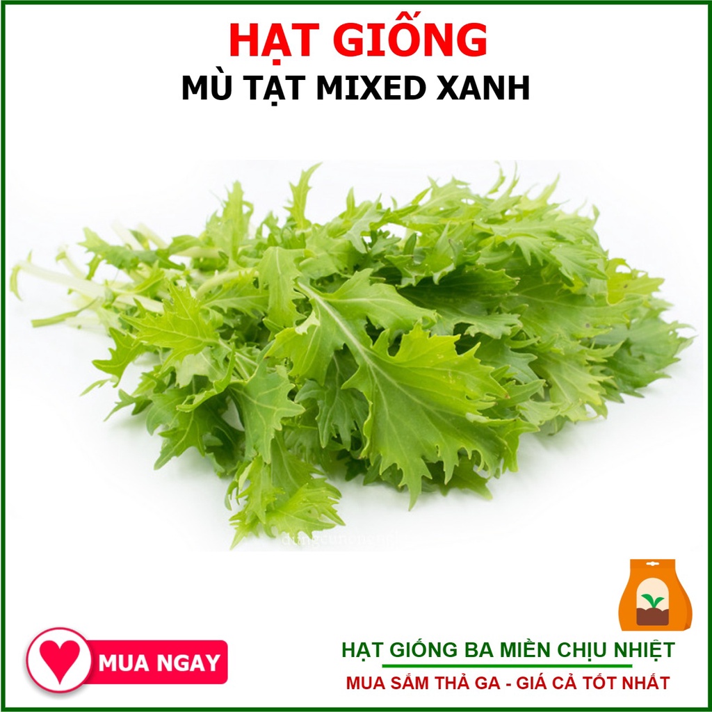 Hạt Giống Cải Mù Tạt Mizuki 10 Loại 10 Gram