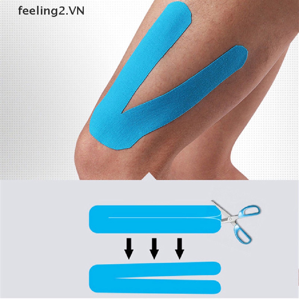 Đai Bảo Vệ Cơ Bắp Chuyên Dụng Trong Thể