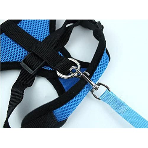 Bộ đai đeo ngực và dây dắt đi dạo màu sắc phản quang thông thoáng dành cho cún bulldog chihuahua pugdog
