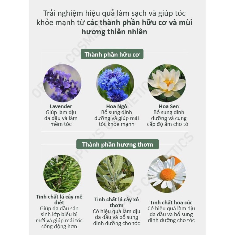 DẦU GỘI Phục Hồi HƯ TỔN MOREMO Repair Shampoo R 300ml