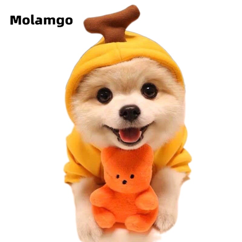 Áo hoodie cún cưng thiết kế họa tiết trái cây đáng yêu