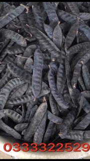Bồ kết khô