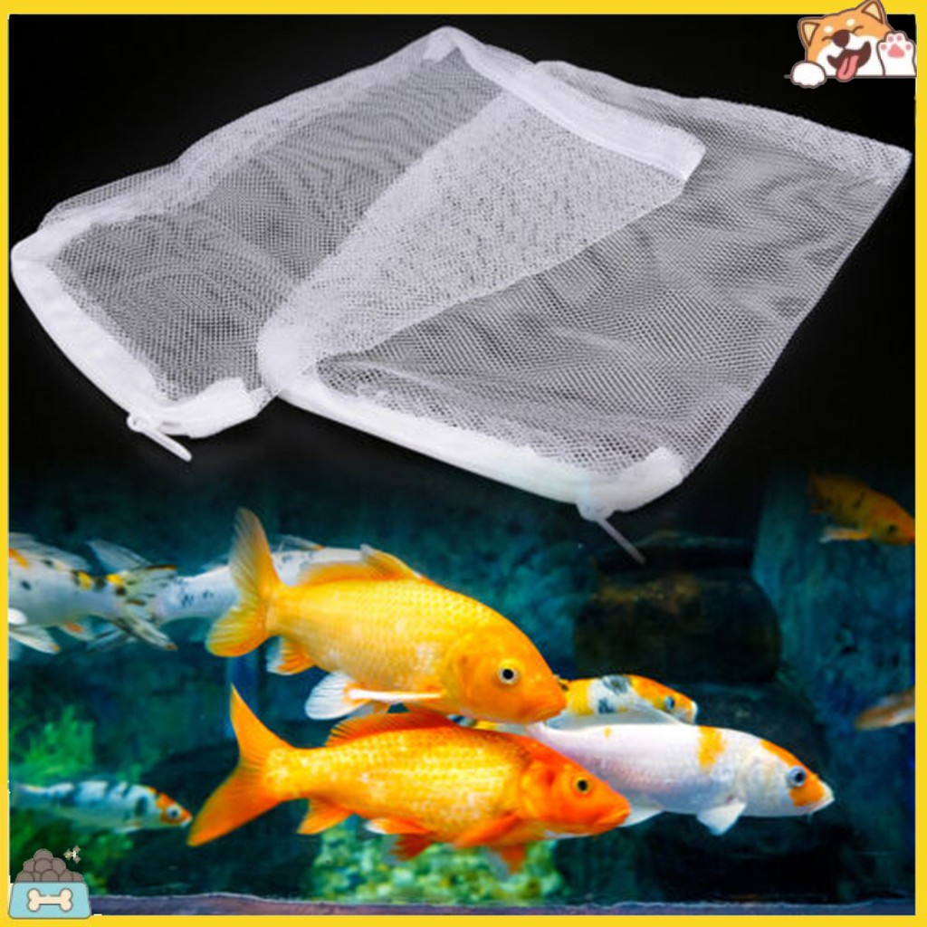 Túi lọc nước bể cá tiện dụng