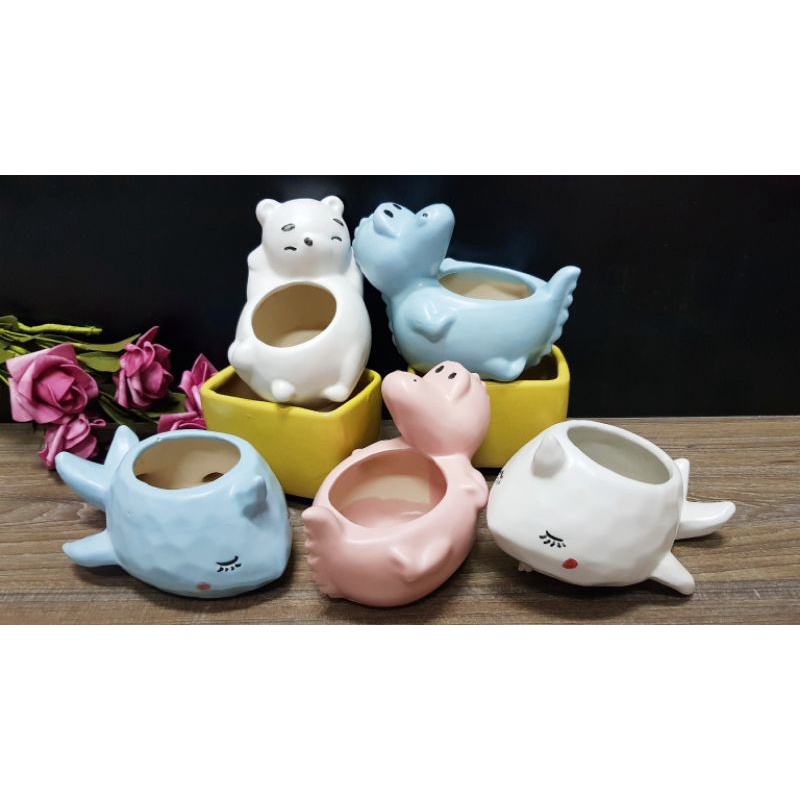 Chậu trồng cây hình động vật thỏ, gấu, khủng long , hươu Mã: ĐV