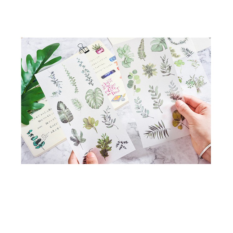 Bộ 3 sticker phong cách Watercolor - Chủ đề Green leaves