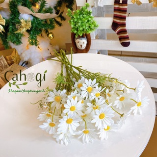 Hoa Giả - Cúc Hoạ Mi Cành 5 Bông Lớn