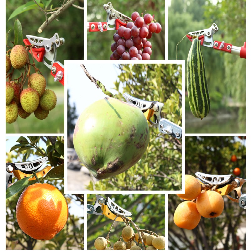 (Nhiều loại)Kéo hái quả,cắt cành cây trên cao kết hợp cưa cành cây,kéo hái trái cây trên cao