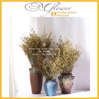 1 bó lớn Hoa sao đuôi công khô, Hoa tình nhân Trang trí phong cách Vintage, làm handmade, phụ kiện chụp ảnh kỷ yếu